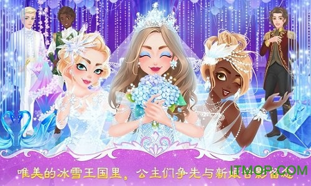 公主梦幻婚礼截图3
