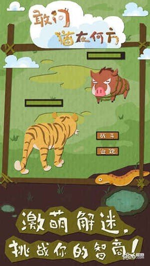 敢问猫在何方截图1