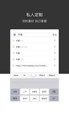 绿叶浏览器截图3