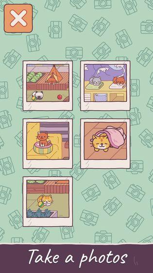 猫屋截图1