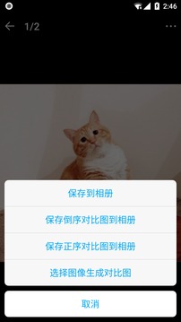 猫咪成长记截图1