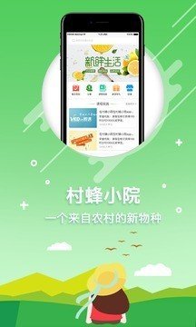 村蜂小院截图3