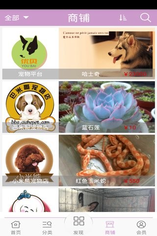 宠物平台截图1
