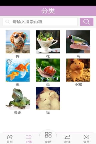 宠物平台截图4