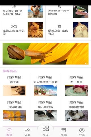 宠物平台截图2
