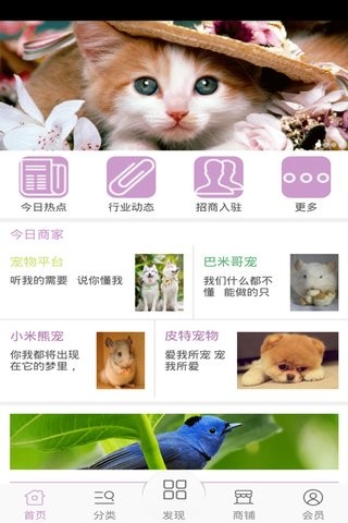宠物平台截图3