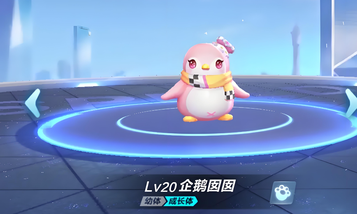 qq飞车平民宠物哪个好一点