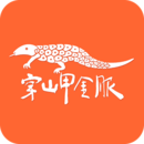 穿山甲金服