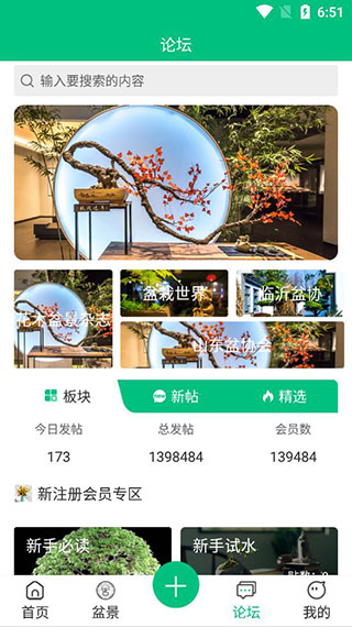 安徽盆景网截图3