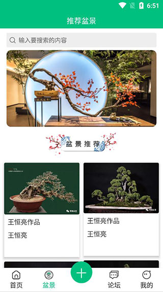安徽盆景网截图4