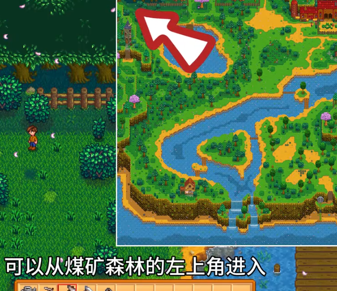 星露谷物语神秘森林在哪里