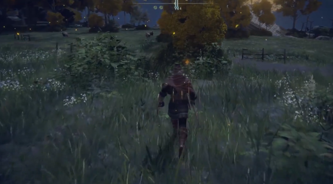 艾尔登法环落叶花哪里多