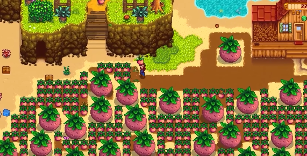 星露谷物语甜瓜怎么处理