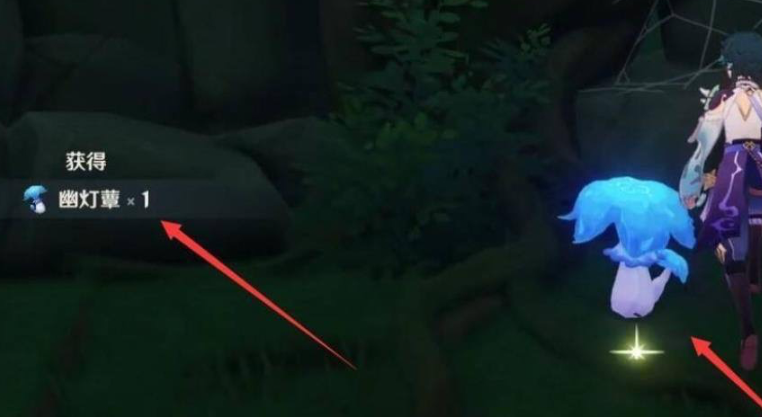 原神新手怎么得幽灯蕈