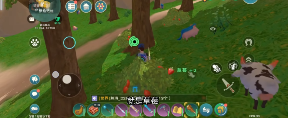 创造与魔法新手怎么玩