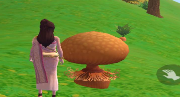 创造与魔法松露在哪里