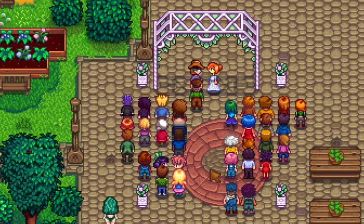 星露谷物语怎么娶罗宾