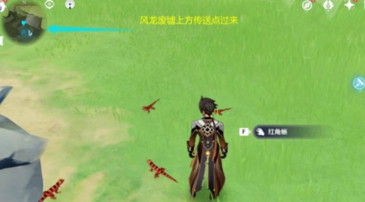 原神里怎么捕捉蜥蜴