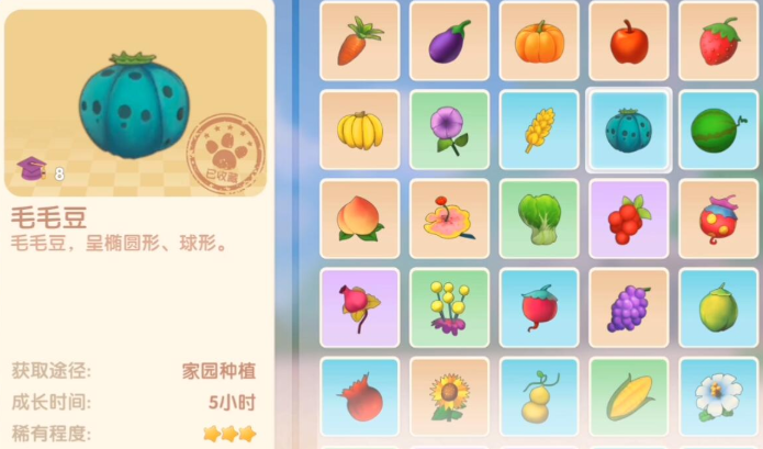 摩尔庄园里怎么拿到毛毛豆