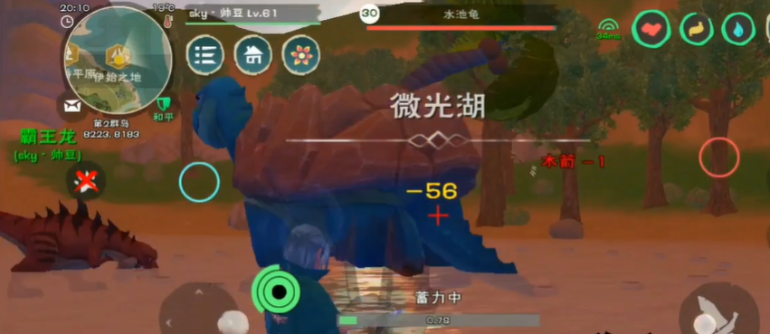 创造与魔法怎么驯服水池龟