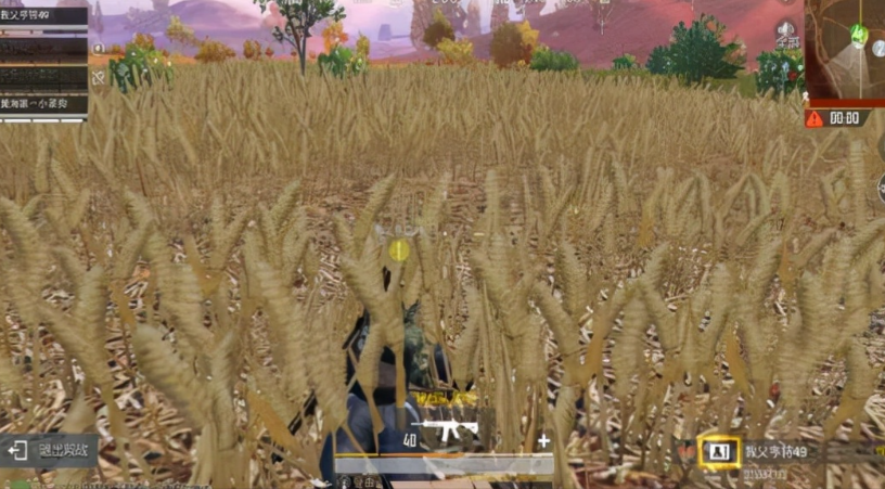 和平精英麦田决赛圈怎么打